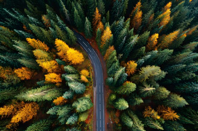 Overhead view of a road in a forest in autumn